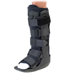 ankle